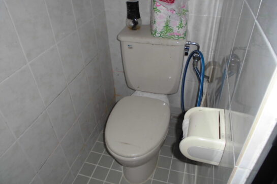 Before　便座の取替え