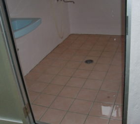 離れのトイレ・シャワー室 改修工事