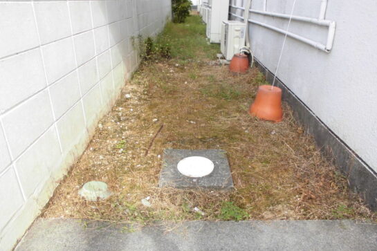 Before