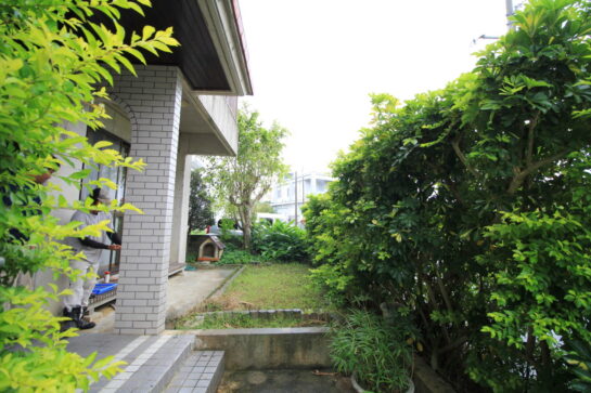Before