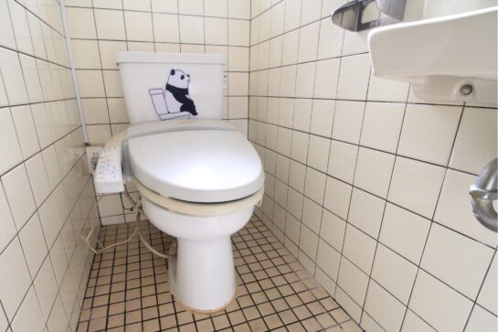 Before　便器の取替え