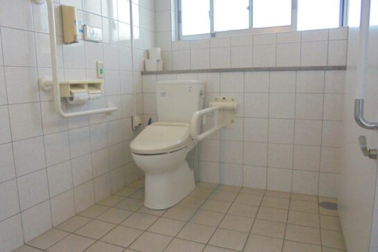 Before　トイレの手すり