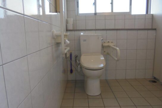 Before　トイレの手すり