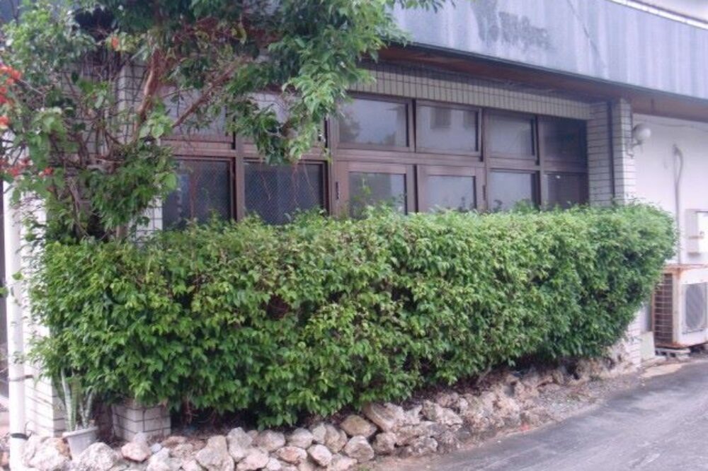 Before　沖縄県宜野湾市の店舗