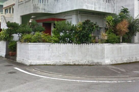 Before 庭木の伐採