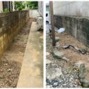 裏庭の植栽伐採