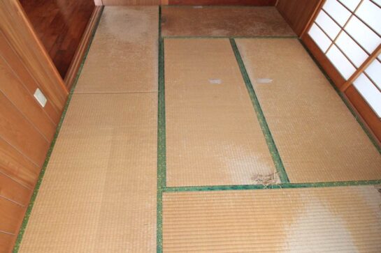 Before 畳の床